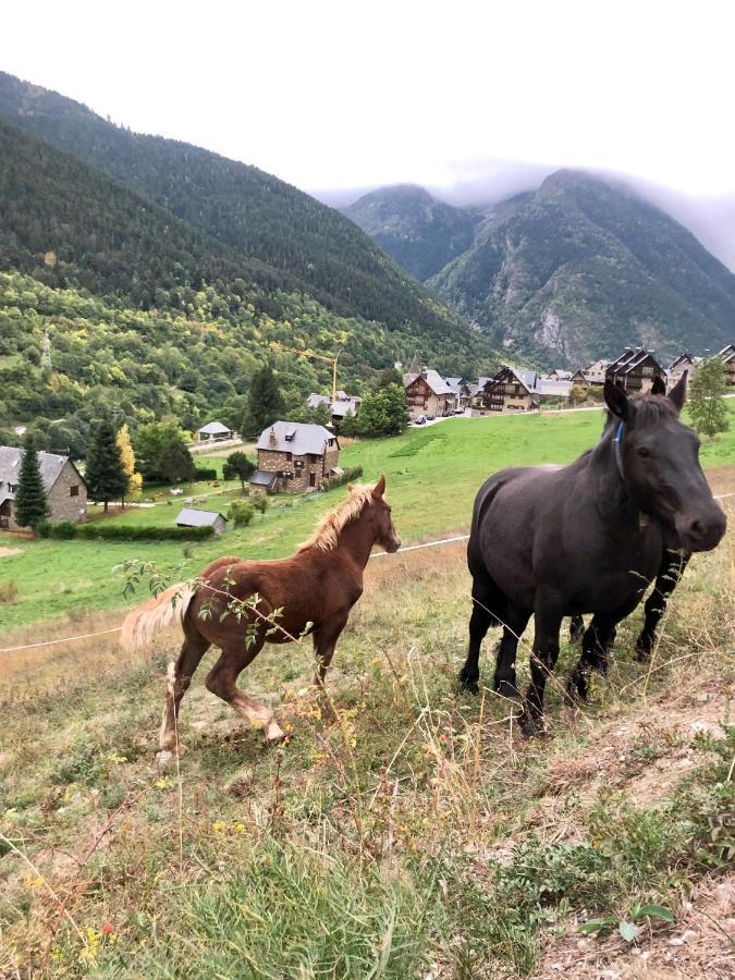 Espacioso Ap En Gessa Eksteriør bilde
